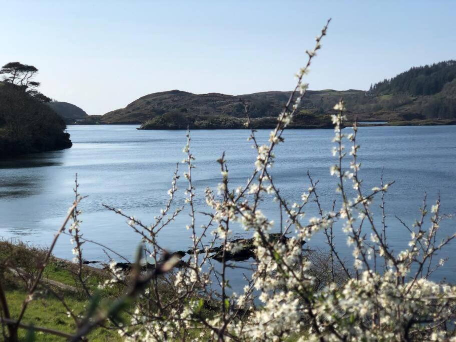 Lough Hyne Cottage Skibbereen Exterior foto
